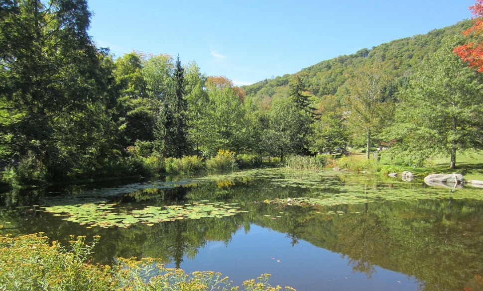 Mountain Top Arboretum, United States